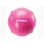 Гимнастический мяч Gym Ball 55 см Magenta (лиловый) RAB-11015MG